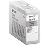 Epson Singlepack Photo Light Light Black T850900 UltraChrome HD ink 80ml foto