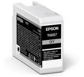 Epson Singlepack Gray T46S7 Ultrachrome foto