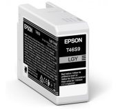 Epson Singlepack Light Gray T46S9 Ultrachrome foto