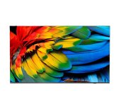 75” HTV Philips 75HFL6214U - Business TV foto