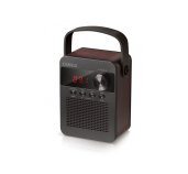 CARNEO F90 FM rádio, BT reproduktor, black/wood foto