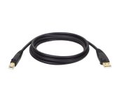 Tripplite Kabel USB-A / USB-B (Samec/Samec), USB 2.0, 1.83m foto