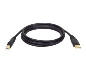 Tripplite Kabel USB-A / USB-B (Samec/Samec), USB 2.0, 3.05m foto