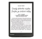 E-book POCKETBOOK 743G InkPad 4 Stardust Silver, stříbrný foto
