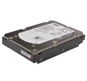 Dell/1TB/HDD/3.5”/SATA/7200 RPM/1R foto