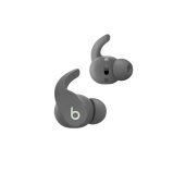 Beats Fit Pro True Wireless Earbuds — Sage Grey foto