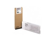 Epson T606 Light Black 220 ml foto