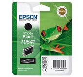 EPSON SP R800 Photo Black Cartridge T0541 foto